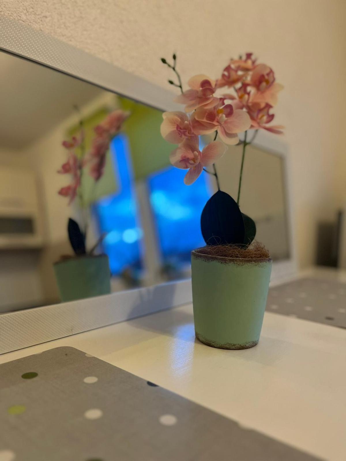 Lovely Apartment In Old Town 400M From City Center Sebilj サラエヴォ エクステリア 写真