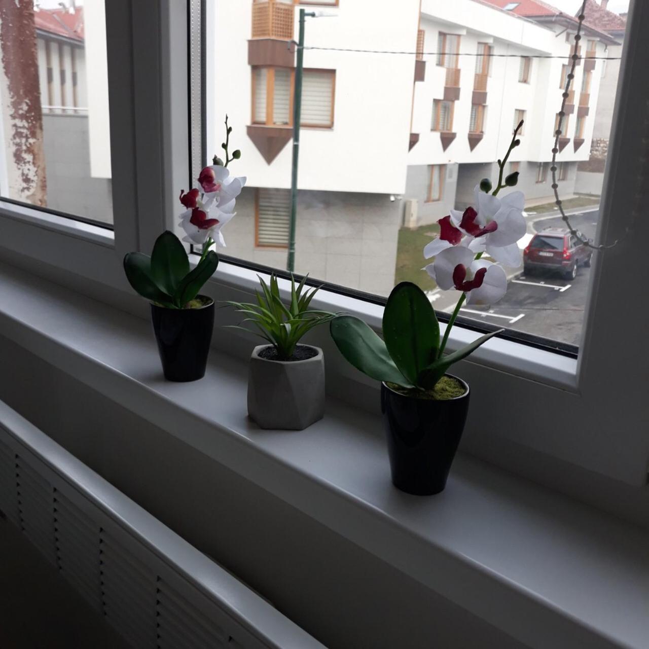 Lovely Apartment In Old Town 400M From City Center Sebilj サラエヴォ エクステリア 写真